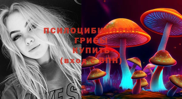 метадон Абаза