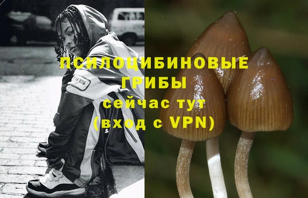 а пвп мука Абдулино