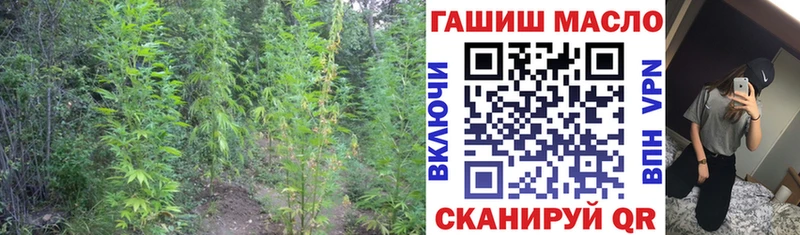 Дистиллят ТГК Wax  купить  цена  Ессентукская 