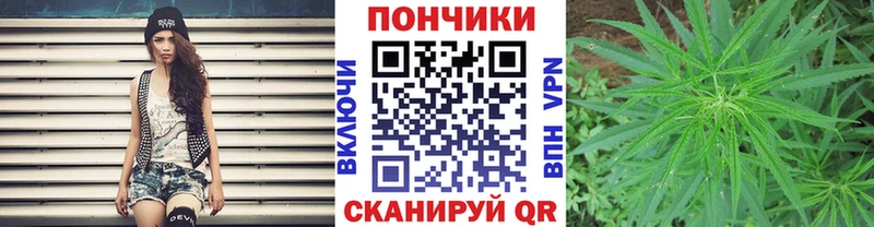 Бошки марихуана семена  где можно купить   Ессентукская 
